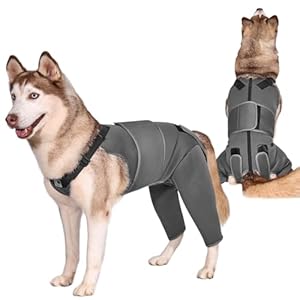 OneTigris Hundebody Nach OP, Hundebody Nach Kastration Rüde mit Verstellbaren Riemen, Weich Leckschutz Hunde für Rüde Oder Hündin, Body Hund für Kleine/Mittlere/Große Hund (M)