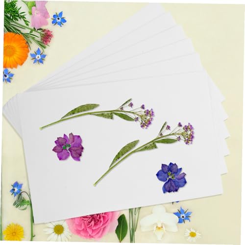 Préservation des couleurs naturelles pour presse à fleurs : kit 6 cotons - 5