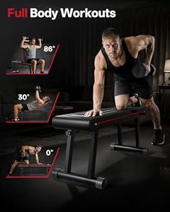 PASYOU Adjustable Weight Bench, 660LB Capacity Foldable Workout Bench, Incline Flat Bench Press for Home Gym, Dual-Frame Strength Training Bench, No Assembly Required — photo 6 of 6