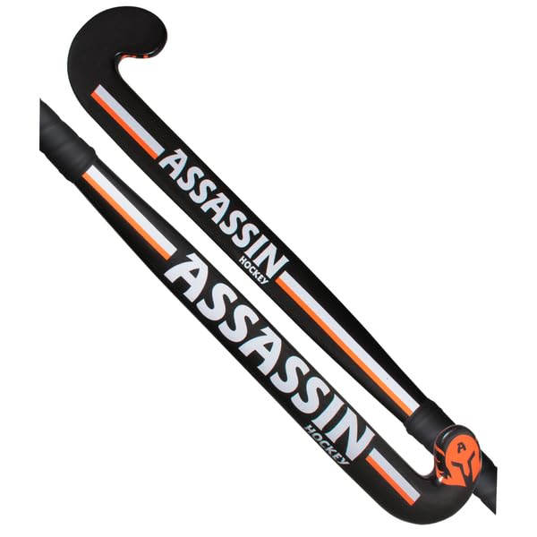 ASSASSIN Composite Hockey Stick 100% Fibreglass (38.5") (B0D6BQN7XY) Amazon Price History, Amazon Price Tracker