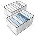 LELEMY kleiderschrank organizer,schubladen kleideraufbewahrung aus mesh,ordnungssystem kleiderschrank mit PP-Trennwänden,Schrank Organizer für Kleidung,Jeans,Hosen,Tshirt,Unterwäsche（2pcs）