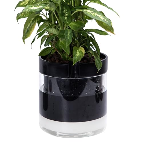 Phoenix Vine 10 Inch Self Watering Terracotta Planter, Black Terracotta Clay Pot with Glass Reservoir for Indoor Plants, Herbs, Flowers, Set of 1, 52-C-I-1