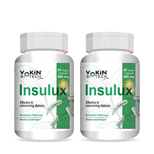 Image of Vokin Biotech Herbal Insulux Gymnema Sylvestre For Endocrine Health & Diabetes Control 800mg 20 Capsules (Pack of 2)
