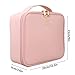 Relavel Travel Makeup Train Case Cosmetic Case Organizer Portable Artist Storage Bag with Adjustable Dividers for Cosmetics Makeup Brushes Toiletry Jewelry Digital Accessories (Pink)