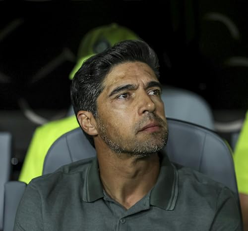 Abel Ferreira projeta final da Libertadores equilibrada: 'será decidido nos detalhes'