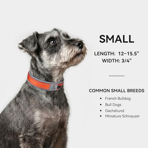 Image of Joytale Dog Collar for Small Dogs, Neoprene Padded and Adjustable, Reflective Wide Heavy Duty Pet Collars with Durable Metal Belt Buckle for Walking, Orange, S