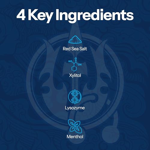 2 Pack H2Ocean Healing Rinse Mouthwash- Great Tasting Sea Salt & Xylitol Mouth Wash for Fresh Breath & Dry Mouth & Tonsil Stones - Alcohol & Fluoride Free - Arctic Ocean Mint, 16oz