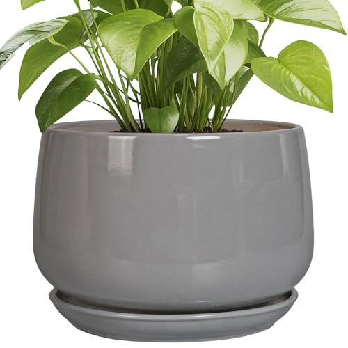 G EPGardening Ceramic Plant Pots - 9 Inch Modern Round Planter with Drainage and Plant Saucer for Indoor Outdoor Flower, Apartment Decor, Birthday Gifts, Grey