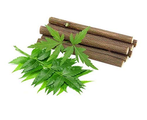 Avoka Naturals Fresh Quality Organic Neem Chew Sticks - Set of 20