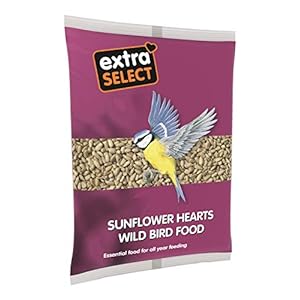 Extra Select Sunflower Hearts Wild Bird Food, 2 kg