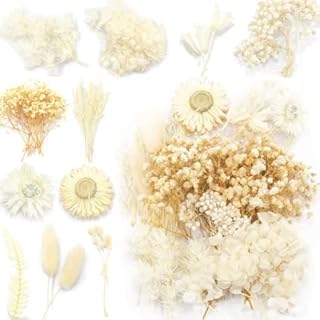 Decorative Artificial Flowers Artificial Everlasting Flowers Real Dried Flowers Leaves Natural Dried Flowers for DIY Jewellery Crafts Nail Art Scrapbooks (1)