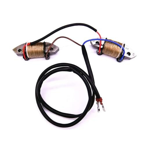 IMIFAFTAbT Bobina de carga 66T-85520-00 compatible con Yamaha Parsun Hidea 40HP T40 E40 40X Enduro motores fueraborda de 2 tiempos 66T8552000