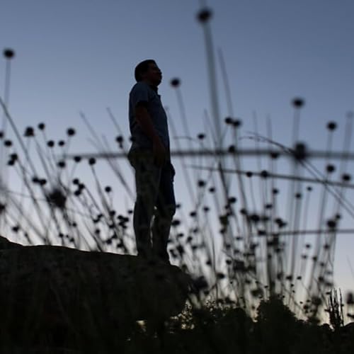 CUIDAR - MAYSE BRAGA