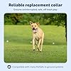 PetSafe Classic In-Ground Fence Rechargeable Receiver Collar for Dogs and Cats - from The Parent Company of Invisible Fence Brand - 7 Levels of Adjustable Static Correction - for Pets 5 lb and Up