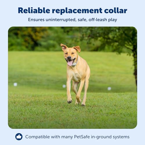 PetSafeClassic In-Ground FenceRechargeable Receiver Collarfor Dogs and Cats - from the Parent Company of Invisible Fence Brand -7 Levels of Adjustable Static Correction -for Pets 5lband Up by PetSafe - Image 3