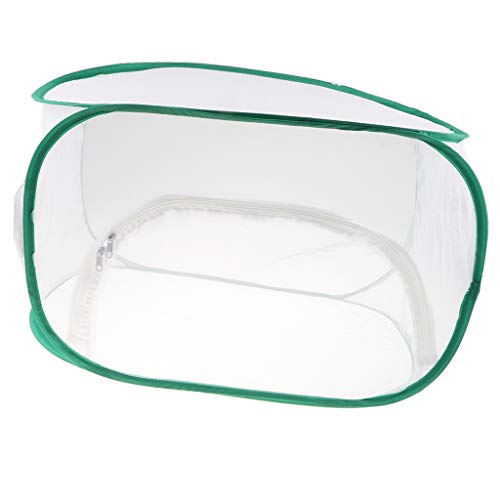 SM SunniMix Butterfly Habitat, Giant Collapsible Insect Mesh Cage Terrarium Pop Up Science Habitat Kits - 15.75inch (Width) x 23.62inch (Height)