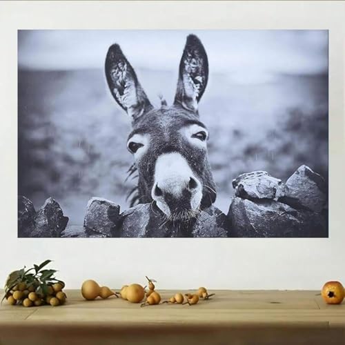 Images d'animaux rigolos pour illuminer votre intérieur au quotidien