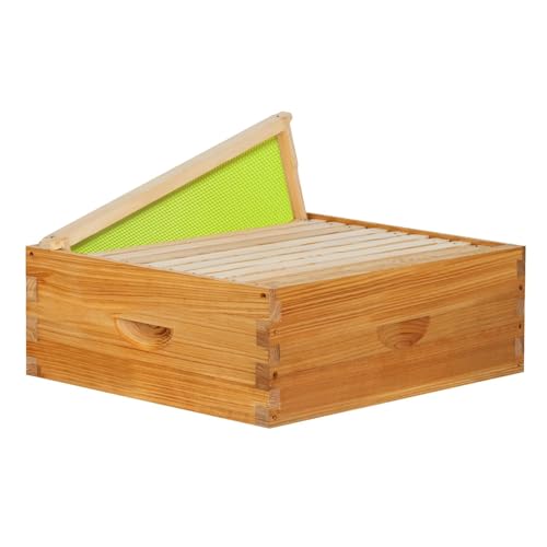10 Frame Medium Super Bee Box Langstroth Bee Hive 100% Dipped in Beeswax Honey Supers Beebox Sections of Wood for Beehives Include Beehive Frames and Green Wax Foundations 1 Set(Unassembled)