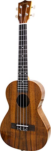 S.Yairi C EN ei[TCY RA MAyOdl YU-T-01K (MOobOt)