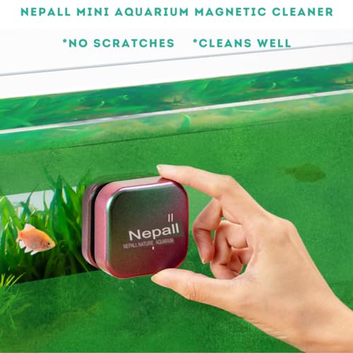 Image of Nepall Premium Gradient Colour Scratch Proof Aquarium Fish Tank Magnetic Cleaner | Floating Type Algea Scrapper | No Need to Wet Your Hands for Fish Tank Cleaning (Medium | 4.5CM | Works Upto 10MM)