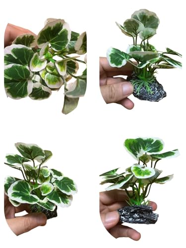 Image of JGbaby Artificial Aquarium Plants,Fish Tank Decorations Betta Leaf Hammock 4in Realistic Silk & Plastic Plants, Hideout Decor for Betta. Goldfish,Reptiles,Small Tanks (Green Type-E)