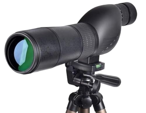 gѓdb̖]YAgѓdb̍{ V̖]A]OYA60{wY[AwKXAޗAv̎BeAt[Y[AgpAsƖ`AAEghAAiA|[g[gAptH[}XK{A̖Ԏ͂ȂǁB ގFAvX`bNA