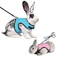 Weiches Kaninchen Geschirr Mit Leine - 2 Stück Mesh Kätzchen Haustier Hasen Geschirr Verstellbar Mit Elastischer Haustier Joggen Leine