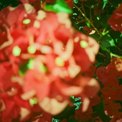 Dear Gravity & Six Missing