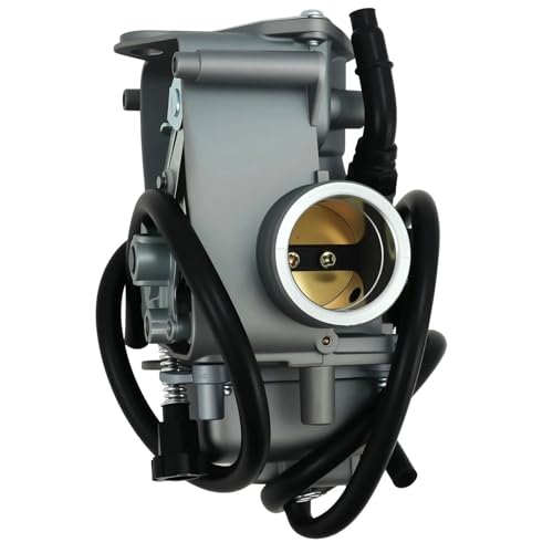 Carburateur moto en alliage anti-corrosion pour Big Red 250 ATC250ES
