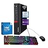 Lenovo Mini PC de escritorio ThinkCentre M910q, Core i5-6500 3.2GHz-3.6GHz, 8GB DDR4 RAM, 256 GB SSD, WiFi, teclado y mouse con cable, Windows 11 Pro (renovado)