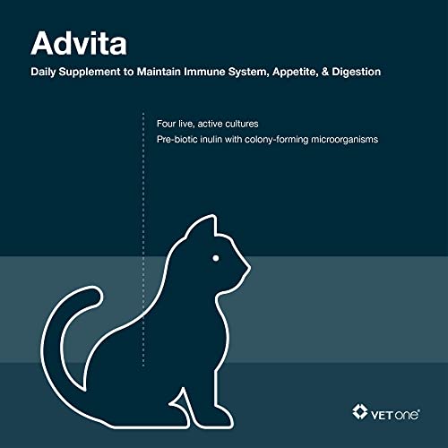 VetOne Advita Powder Probiotic Nutritional Supplement for Cats - 30 (1 gram) packets - Thumbnail 2