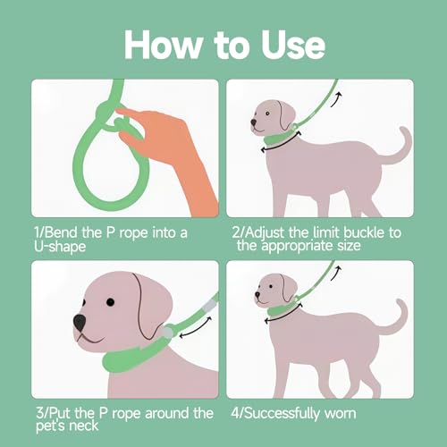 Arvoni Retrieverleine mit Zugstopp, 3 M Hundeleine mit Halsband, Leine Hund Verstellbar Witterungsbeständig mit Reflektierend, für Kleine bis Große Hunde Training, Alltag und Dummyarbeit