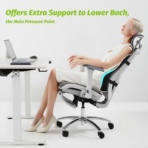 Soft Dense Memory Foam Lumbar Support Pillow for Office Chair Adapted to Back Curve Enhance Support,Comfort and Relief for Lower Back Pain - Lumbar Pillow Back Support for Office Chair, Car,Recliner