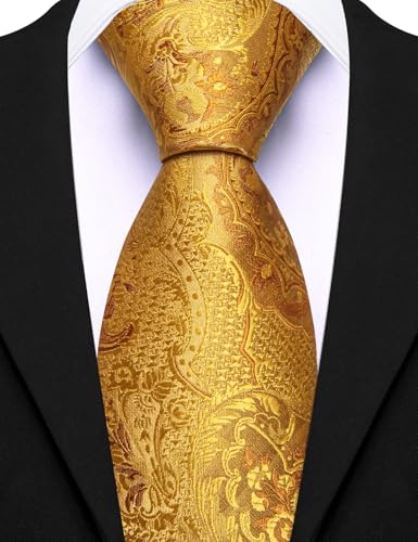 Image of Barry.Wang Paisley Tie for Men Silk Woven Necktie and Tie Clip Set Wedding Party Business Formal