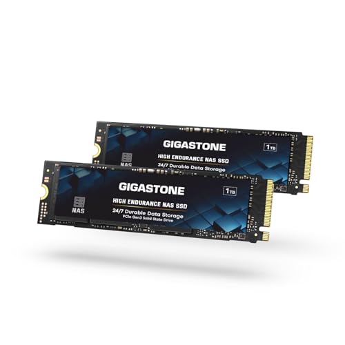 Gigastone SSD 1 TB (2er-Pack) M.2 NAS SSD 24/7 High Endurance Cache für Network Attached Storage Business Data Center Personal Cloud PCIe 3.0 NVMe NAS internes Solid-State-Laufwerk