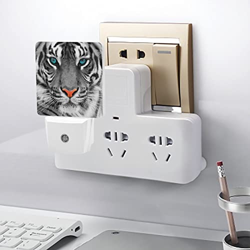 Acozuhse Led Night Lights Lamp With Dusk To Dawn Sensor, A Tiger With Blue Eyes Night Lamp, Night Lights Plug Into Wall For Kids Room, Bedroom, Bathroom, Kitchen, Hallway #TOP3