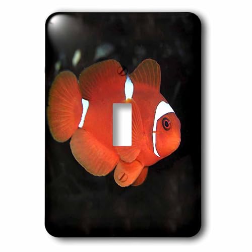 Interrupteur simple poisson clown 3dRose Lsp_1110_1 avec motif aquatique brillant