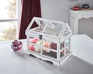 Dekoleidenschaft Shabby Mini-Gewächshaus Weiß