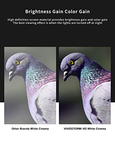 Vividstorm- Projector Screen Portable Folding Stand Floor Rising Movie Screen Sound Transparent Perforated All White Screen Compatible With Ordinary Projector,Vwsdstpwa120H #TOP2