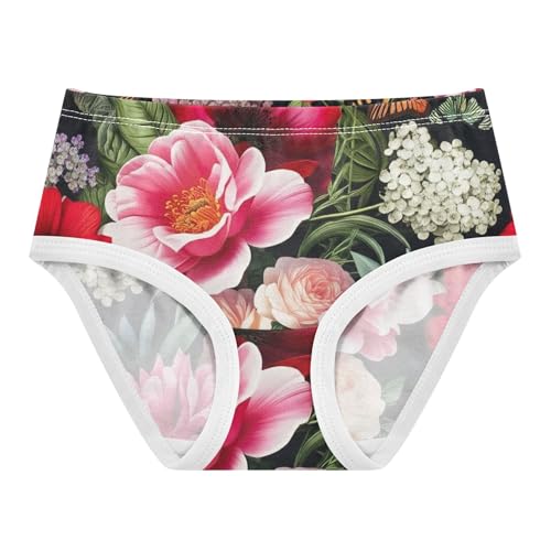 Toddler Girls Underwear 2t Cotton Panties Little Girl Print Kids Undies Briefs Ornate Floral Pink Red Flowers