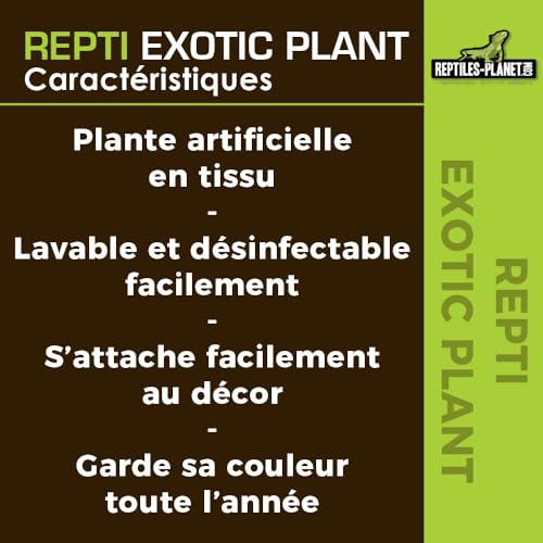 Reptiles-Planet Künstliche Pflanze für Terrarium Tropical, Musa Basjoo Sieb
