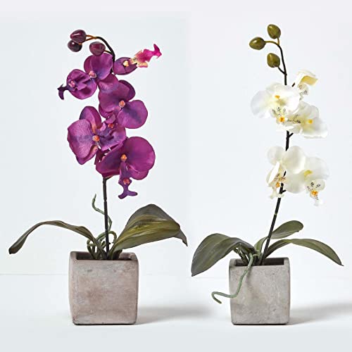 2er Set Knstliche Orchideen 44cm - Realistische Kunstblumen Im Topf Lila &  Rosarot Fr Wohn Deko Orchideen Deko