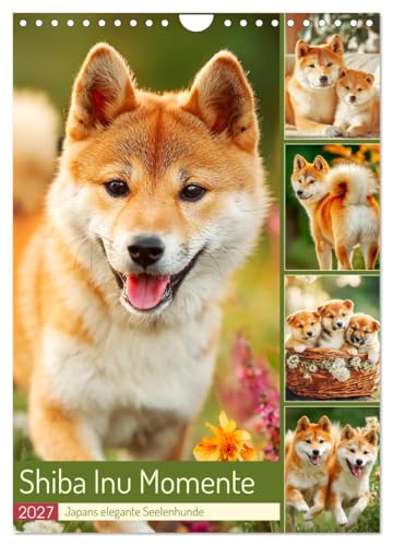 Shiba Inu Momente. Japans elegante Seelenhunde (Wandkalender 2027 DIN A4 hoch), CALVENDO Monatskalender: Stimmungsvolle Bilder, die den Charme und ... schönen Hunde einfangen (CALVENDO Tiere)