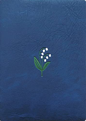 GR~[ }gJ 蒠 2024N 1n܂ B6 EB[N[ ubN XY u[ DR-WK-530