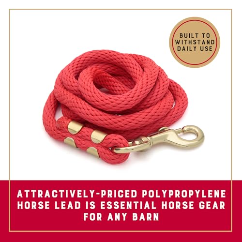 Image of Weaver Equine Performance Lead Rope, Lime Zest, 8' Horse Value Rope with Brass Plated 225 Snap, Soft Comfort Grip, Barn Horse Tack for Daily Use