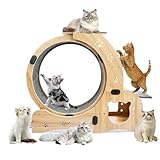Cat Wheel 6-in-1 Upgraded Exercise Wheel for Indoor Cats: Large Treadmill with Silent Running Wheel, Perfect Cat Furniture & Toy for Endless Fun & Fitness