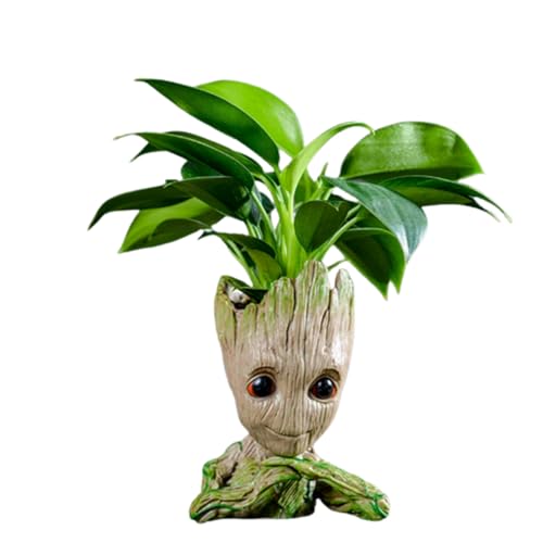 WT WINGTENG Unique Planter for Indoor Plants Pot Cactus Cute Flowerpot with Drainage Hole Funny Succulent Planters Home Decor Adorable Christmas Birthday Gift for Plant Lovers -6 inch