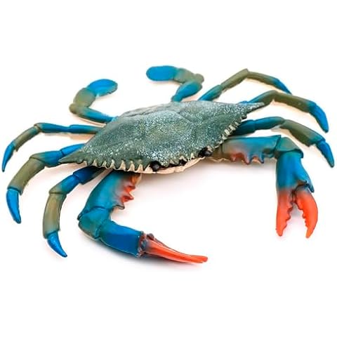Blue Crab TiKi Bar Nursery - Plastic Crab Toy Bath Toys - Realistic Science Educational Ocean Sea Animals Figures - Creature Toys Gift for Birthday Decorations Pool Toys Ocean Toys Cover