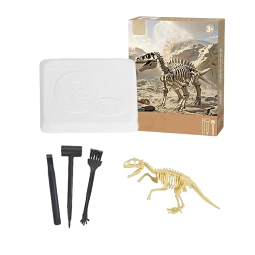 Eterspr Dinosaur Dig Kit, Kit Realistic Dinosaur Model, Dino Skeleton Fossil Excavation, Juguetes Educativos, Arqueología y Juego De Juguetes para Niños De 6 a 12 Años.