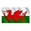 Wales Flag